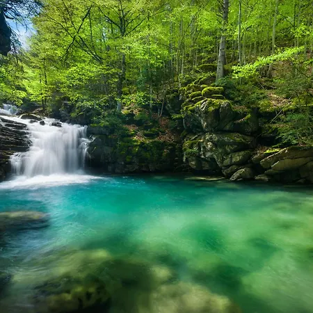 Refugio Del Roble By Bevalle Пантикоса