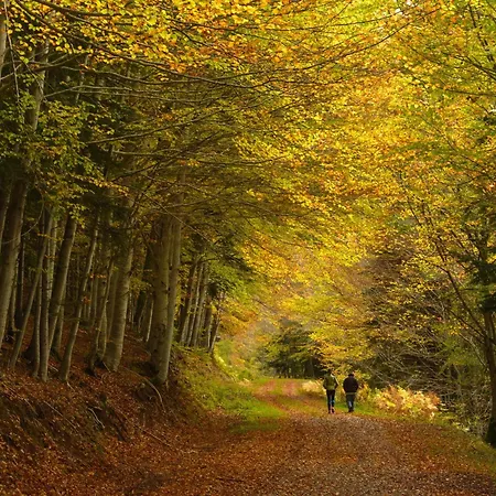 Refugio Del Roble By Bevalle *